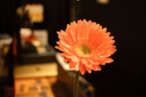 IMG_9765